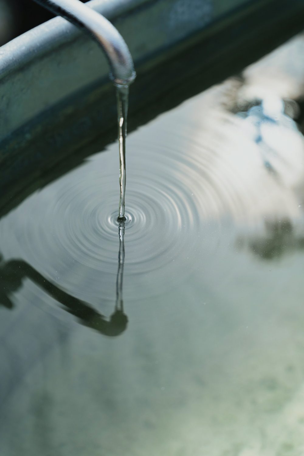 水風呂の水面